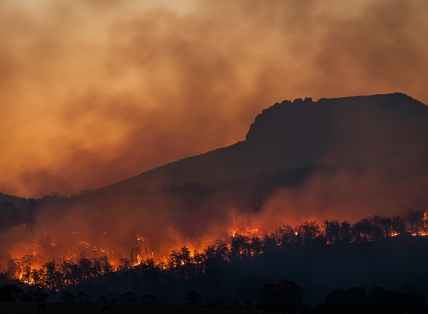 Thank You to our bushfire responders Image